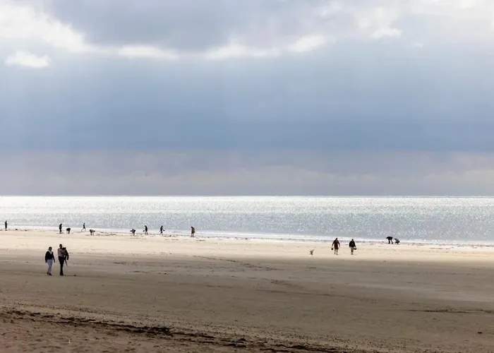 Zecamping 4 Jacuzzi Piscine Chauffee A 1Km De La Plage Pet Friendly Feriehus Saint-Jean-de-Monts