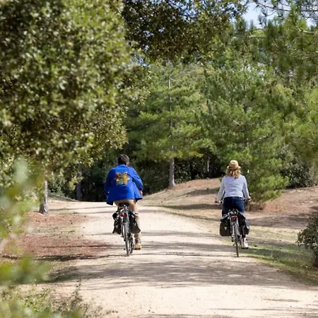 4 Etoiles - Piscine - Cbgcb0b * Saint-Jean-de-Monts
