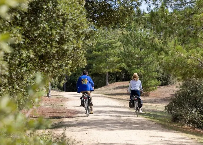 4 Etoiles - Piscine - Cbgcb0b * 생장드몽