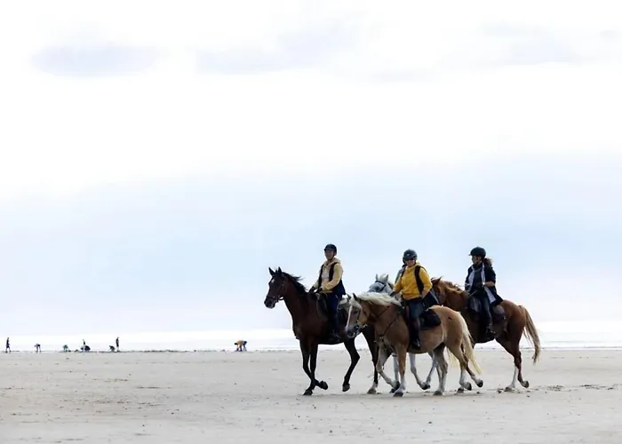 אתר קמפינג 4 Etoiles - Piscine - Cbgcb0b סן ז'אן דה מון